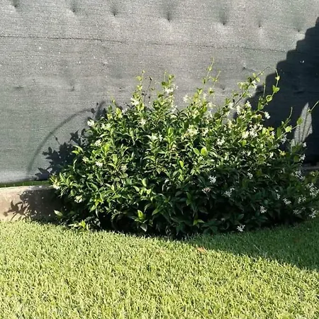 Villa Ernesto *